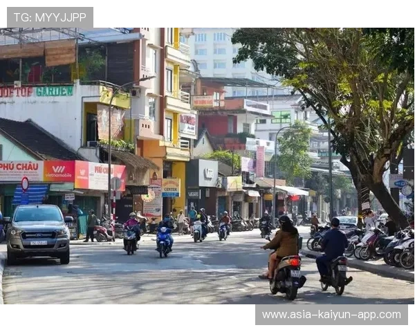 胡志明市马拉松:越南跑者破纪录,赛事精彩纷呈!,越南胡志明街拍